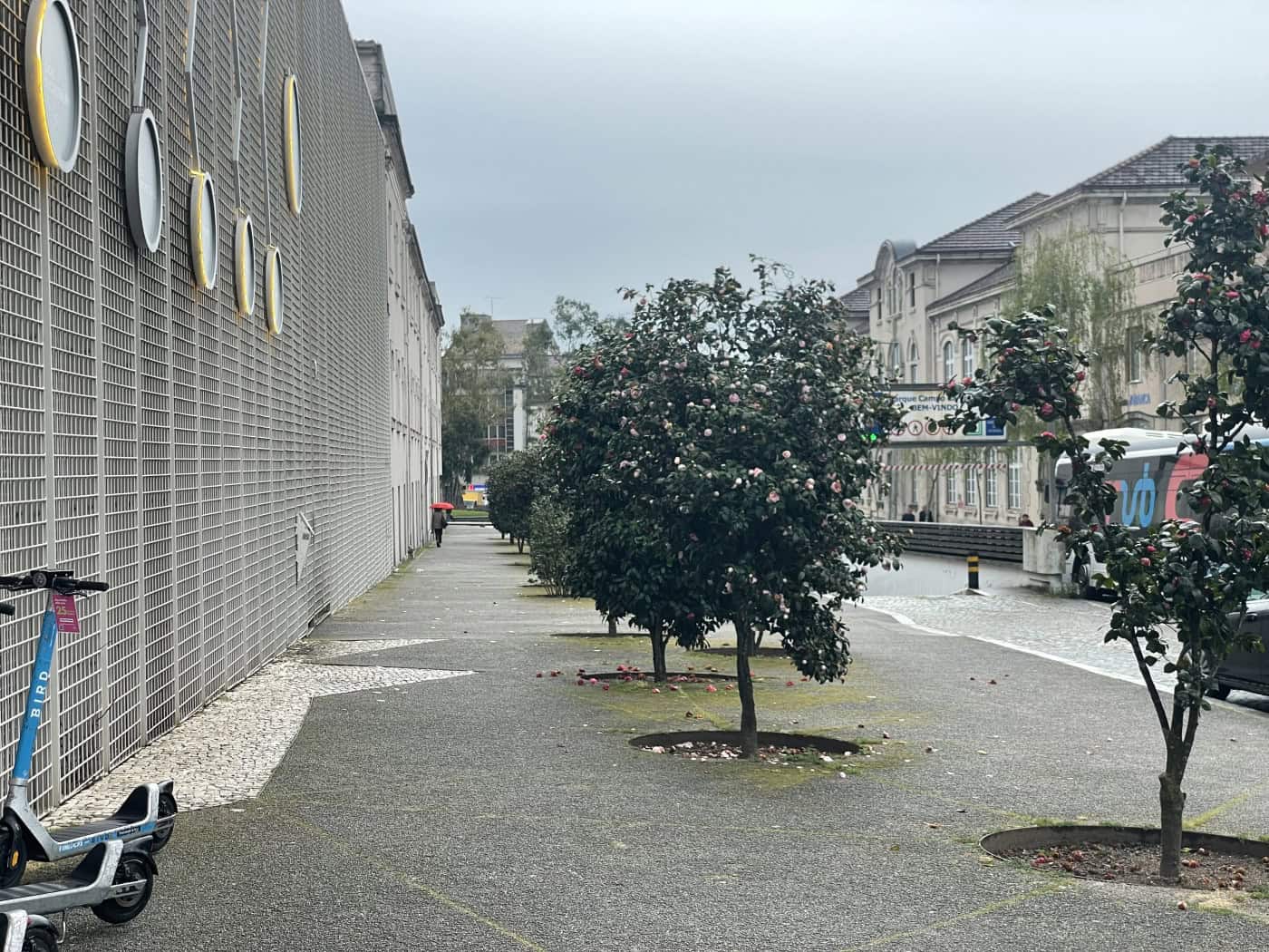 IPMA coloca distrito de Braga em alerta amarelo a partir do meio-dia