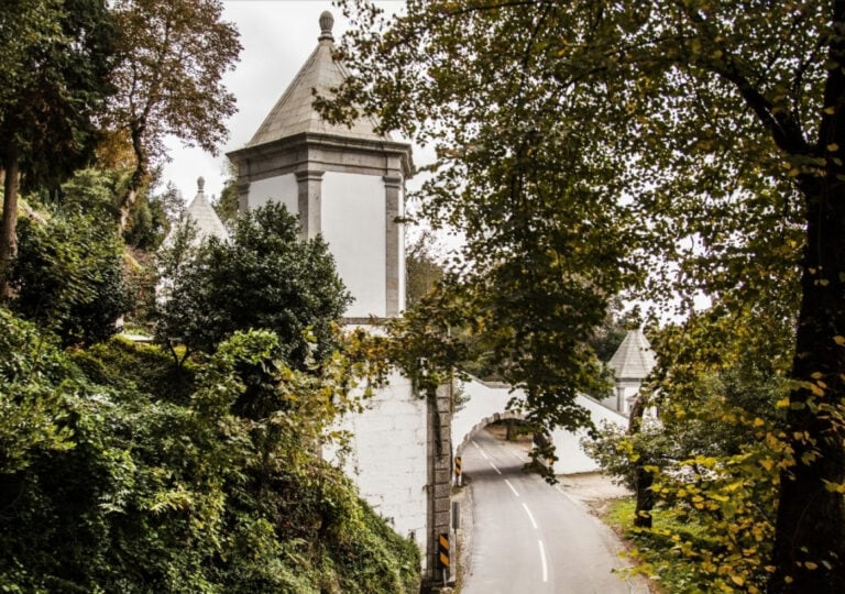 "Passos Solidários". Caminhada une comunidade em apoio à CERCIGUI