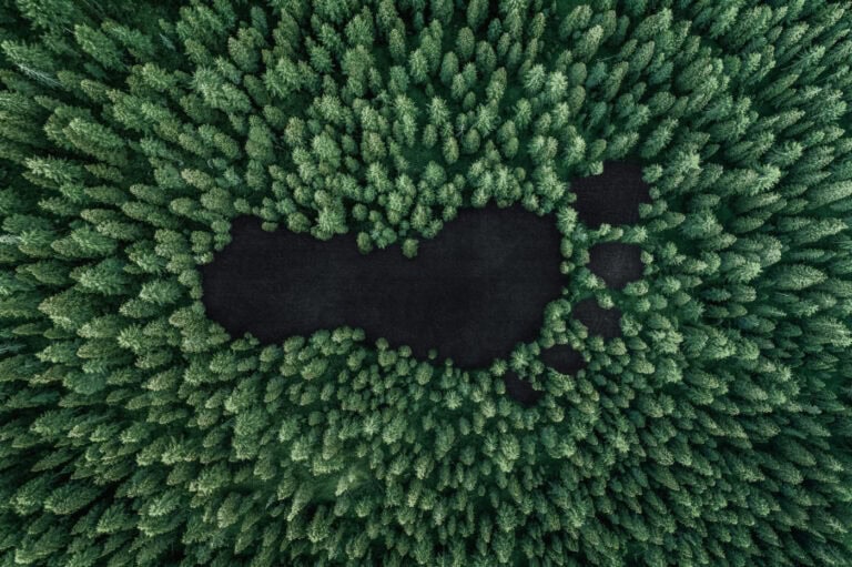 Humanidade esgota a 24 de julho recursos do planeta disponíveis para este ano