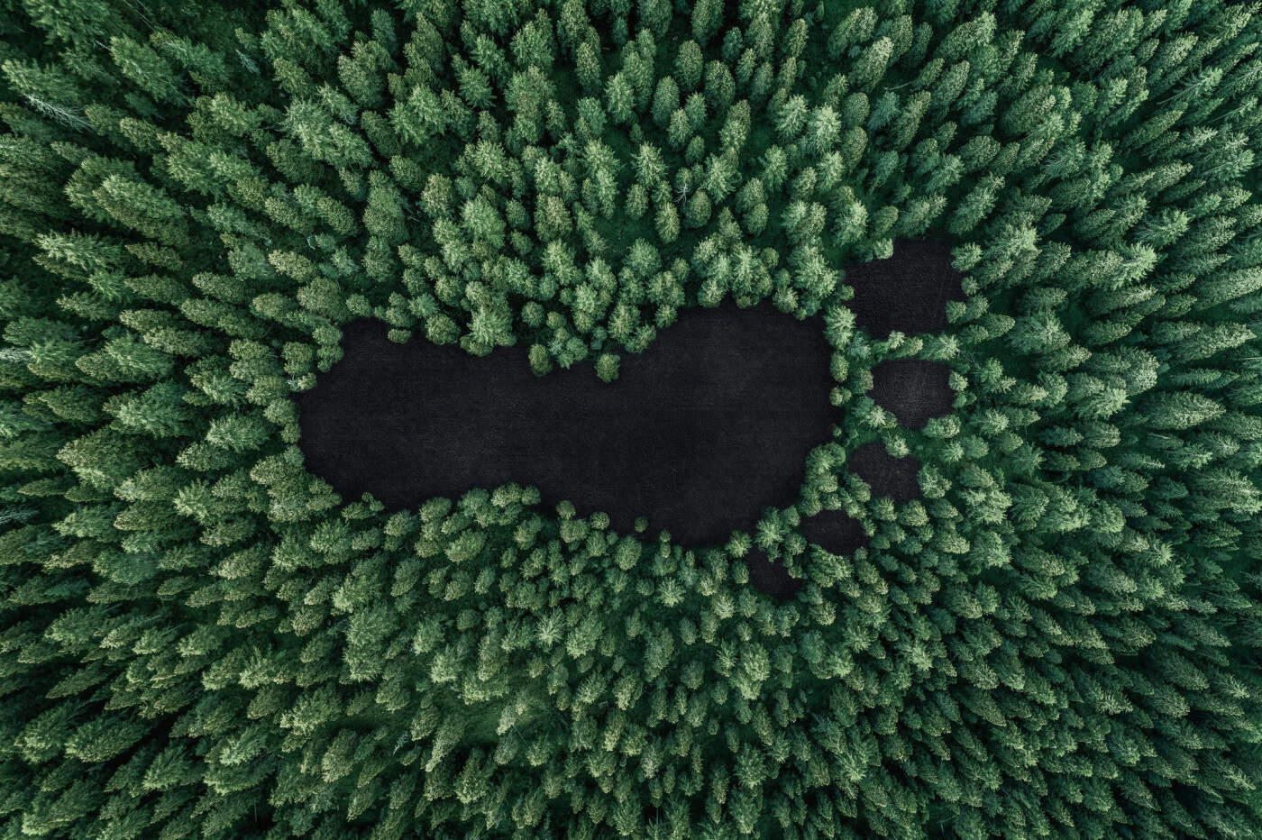 Humanidade esgota a 24 de julho recursos do planeta disponíveis para este ano