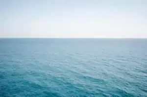 Morreram 49 pessoas afogadas até ao fim de maio em Portugal&nbsp;