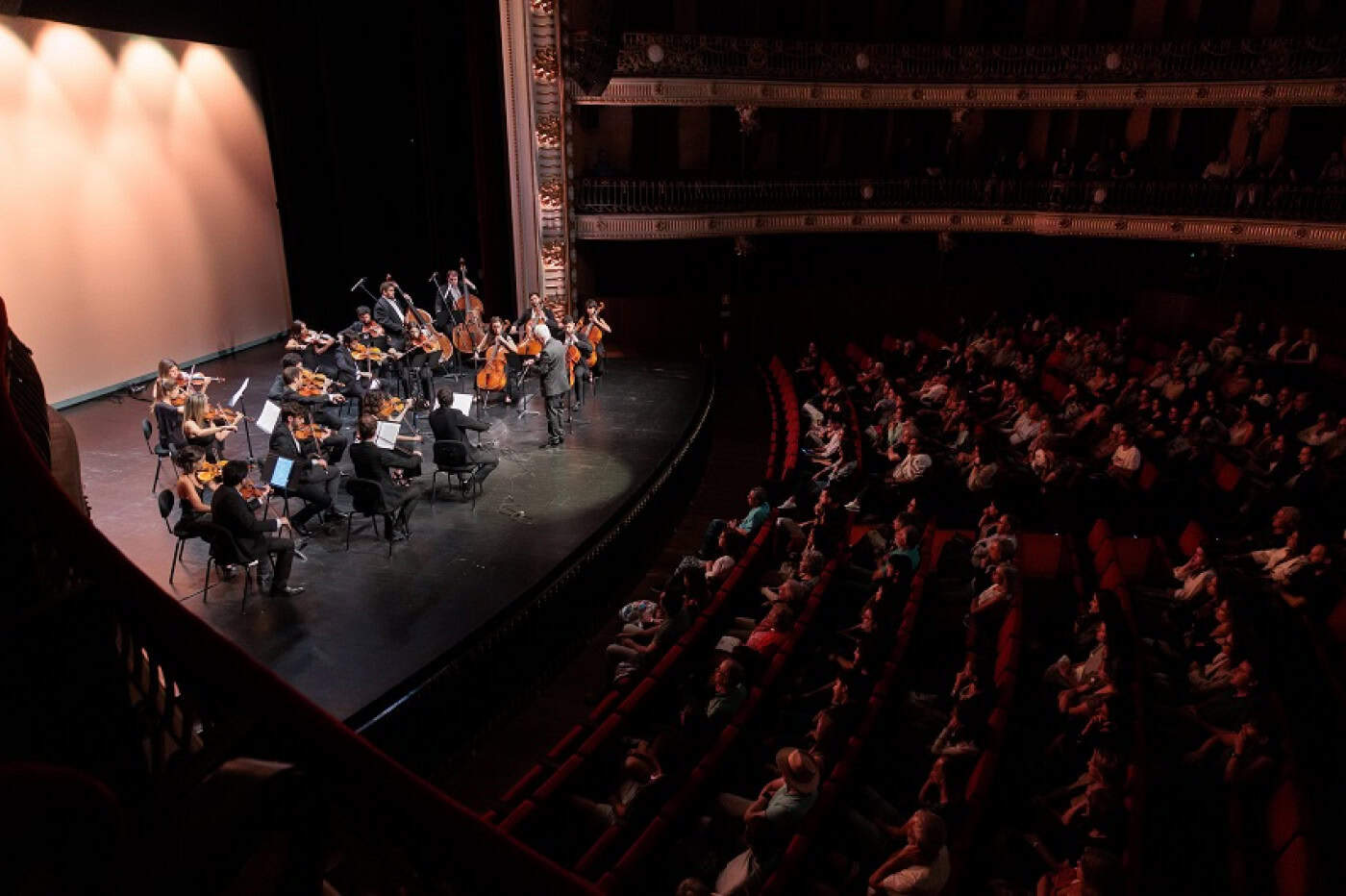Festival Arcada celebra instrumentos de corda em Braga com programação diversificada
