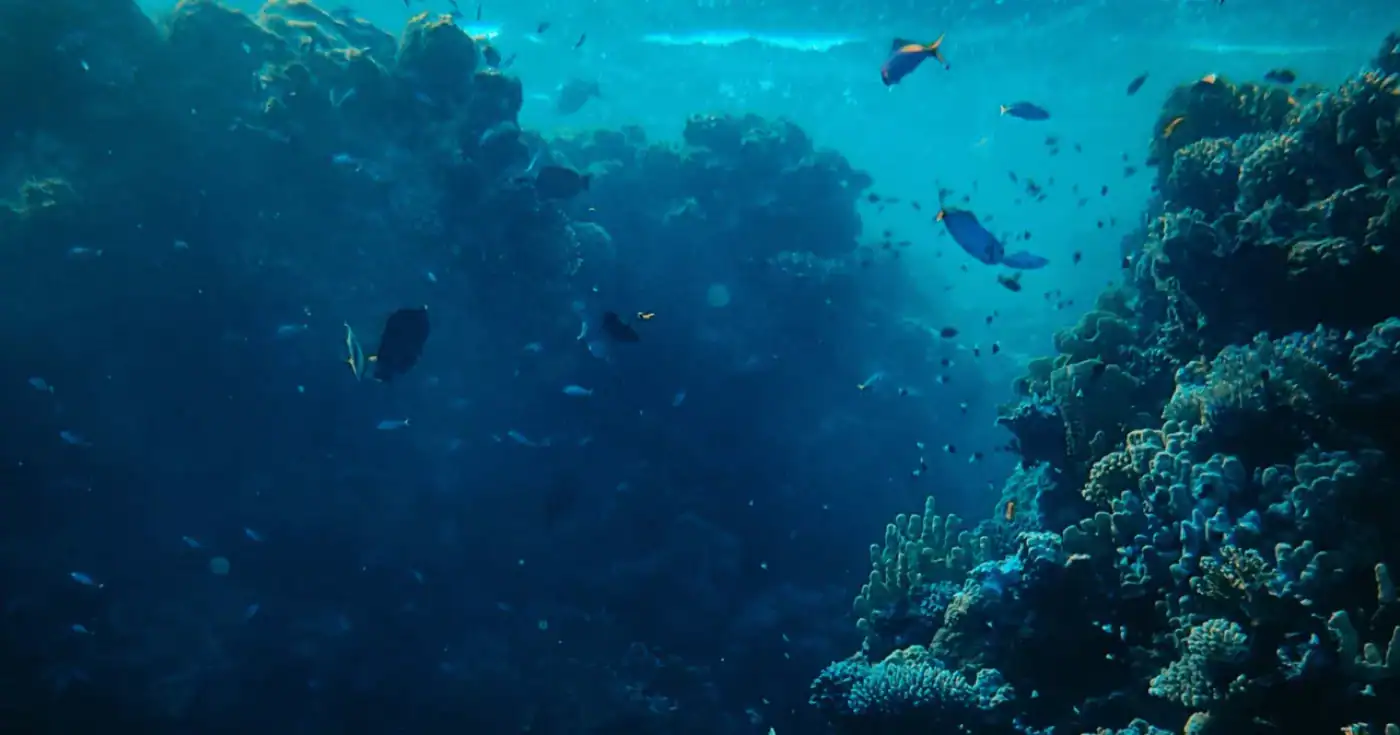 UMinho acolhe 1º Encontro ARNET sobre ciência aquática e políticas públicas