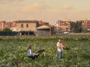 DGArtes: Apoiados 109 projetos com 1,035 ME no concurso de Internacionalização