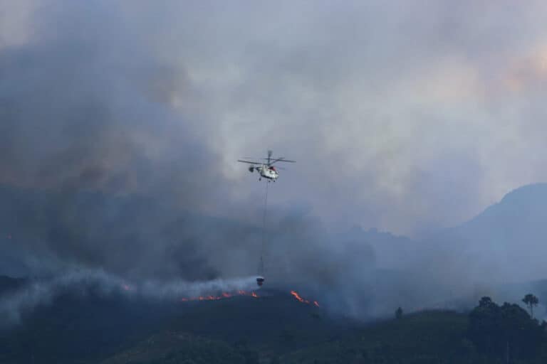 9 meios aéreos e mais de 300 bombeiros no combate às chamas na Barca