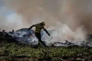 Quase 400 bombeiros no combate às chamas em Ponte da Barca
