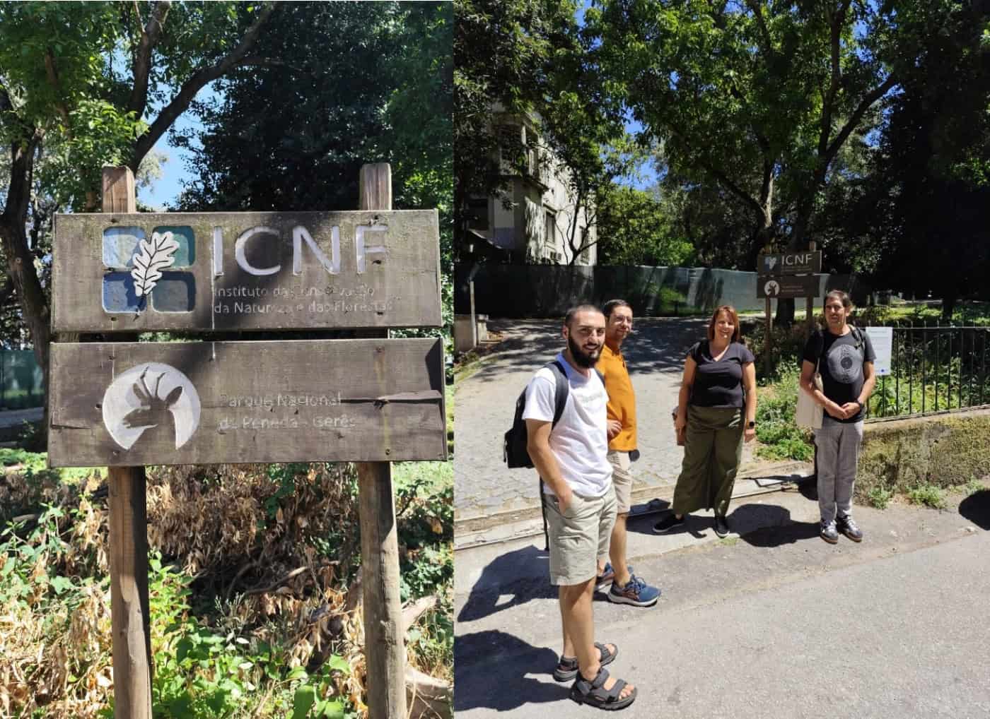 Lobo Ibérico e conservação da natureza são temas da reunião d'Os Verdes com Direção Regional do ICNF