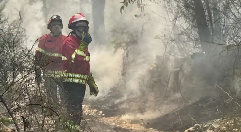 Área ardida triplicou nos últimos 15 dias