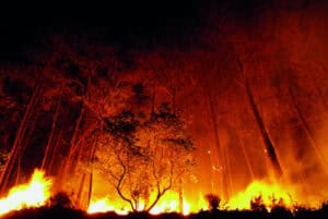 “Não temos capacidade ilimitada”: Montenegro admite dificuldades nos incêndios, com previsões de 44ºC até quarta-feira