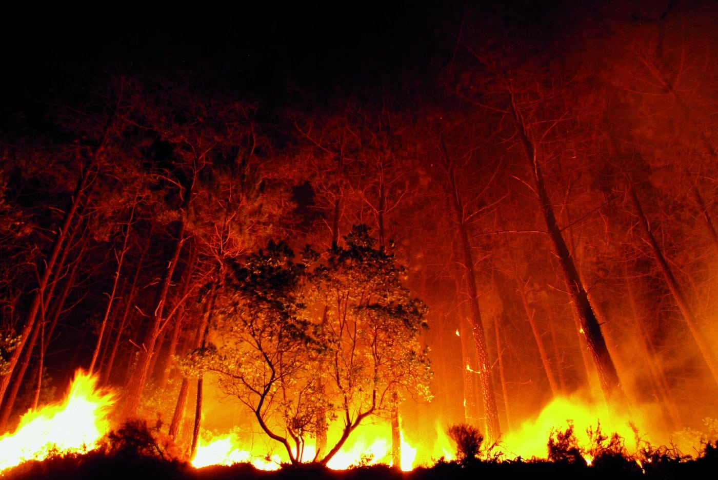 “Não temos capacidade ilimitada”: Montenegro admite dificuldades nos incêndios, com previsões de 44ºC até quarta-feira