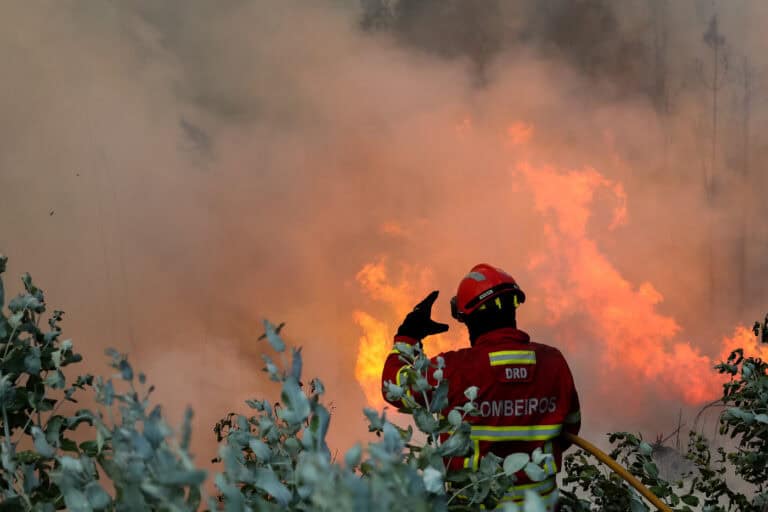 Incêndios: A7 cortada nos dois sentidos em Fafe devido a fogo