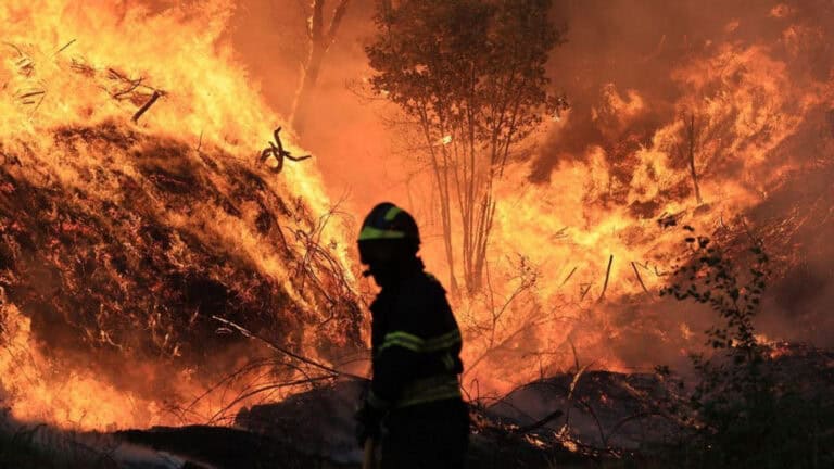 Incêndios: Governo prolonga situação de alerta até sexta-feira