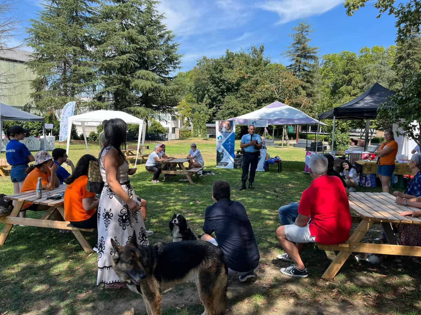 Parque da Ponte em Braga acolhe iniciativa do Dia Internacional dos Animais Sem-Abrigo