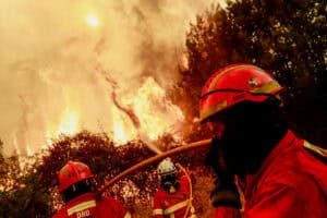 Portugal é o país da União Europeia onde arde maior percentagem do território