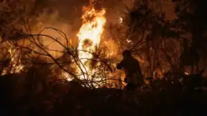 Fogo na Covilhã obriga ao confinamento da população de Vale da Cerdeira