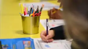 Ministério envia às escolas novas aprendizagens essenciais de Cidadania