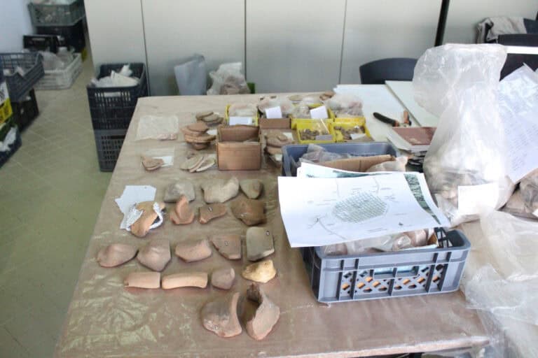 Do visível ao invisível: o mundo por detrás das vitrinas do Museu D. Diogo de Sousa