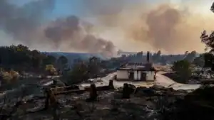 Movimento Portugal Sem Chamas incentiva ao turismo nas áreas afetadas pelos incêndios&nbsp;