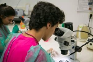 ICVS e INL juntos na procura de ideias inovadoras