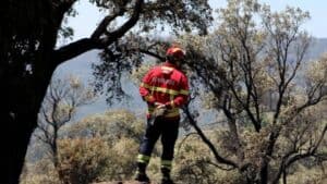 60 concelhos de 13 distritos em risco máximo de incêndio