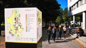 Competências transversais valorizadas no mercado laboral