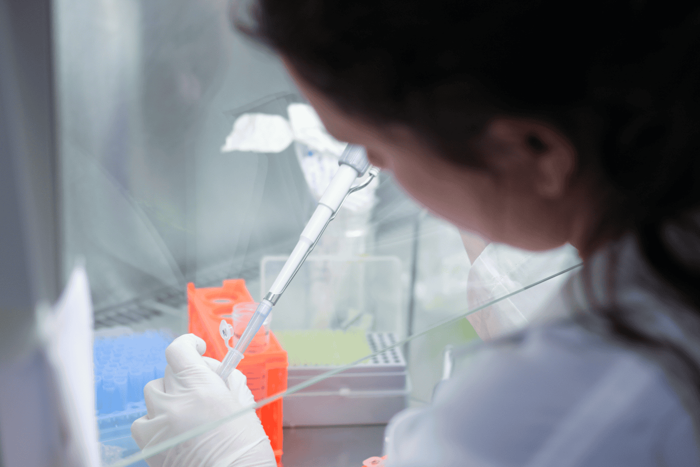 O CEB da UMinho agora também está no Porto