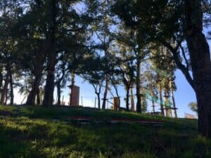 Parque Aventura do Monte Picoto abre em Março de 2019