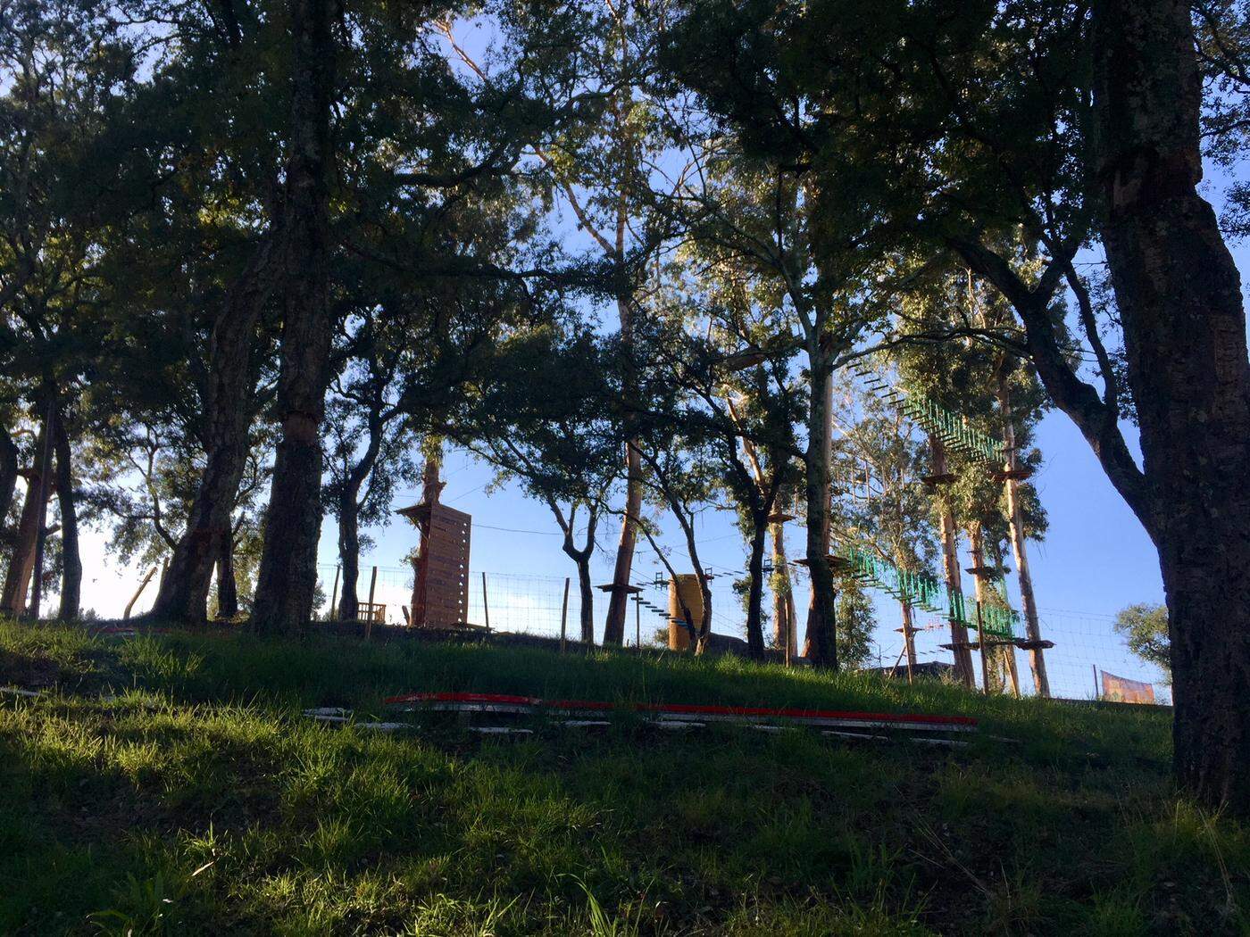 Parque Aventura do Monte Picoto abre em Março de 2019