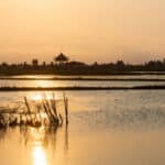 CLIMAX ORCHESTRA – COUNTRY SIDE