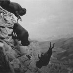 2020-01-06 – 1ª Hora