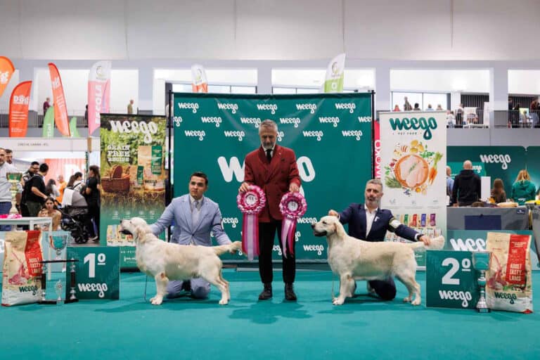 Exposição com mais de mil animais volta ao Forum Braga