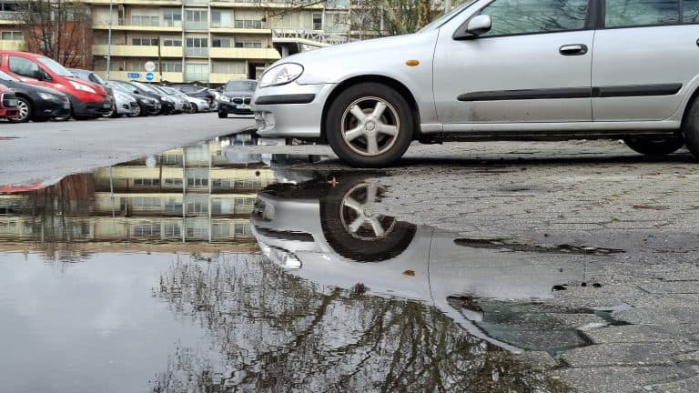 Queda de árvores, muros e estruturas de publicidade entre as dezenas de ocorrências em Braga
