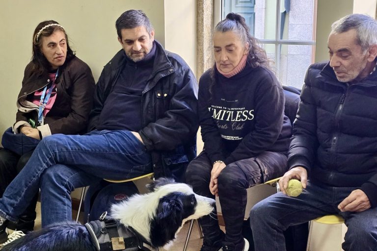 Darco, o cão terapeuta que combate a exclusão social na Cáritas de Braga