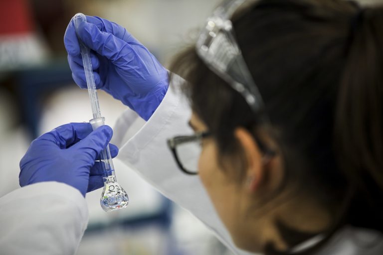 FCT reforça investimento e anuncia 1.600 bolsas para doutoramento