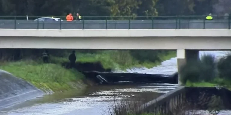 Mau tempo: Margem direita do canal do rio Mondego rebentou junto à A1