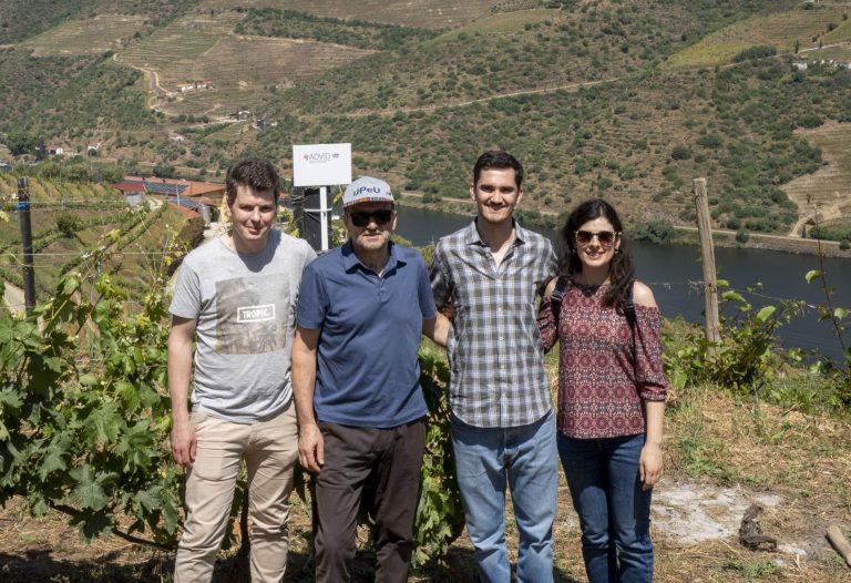 Investigação liderada pela UMinho explora potencial aromático da indústria vitivinícola do Douro