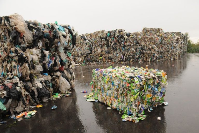 Braval abre portas ao público para promover boas práticas de reciclagem