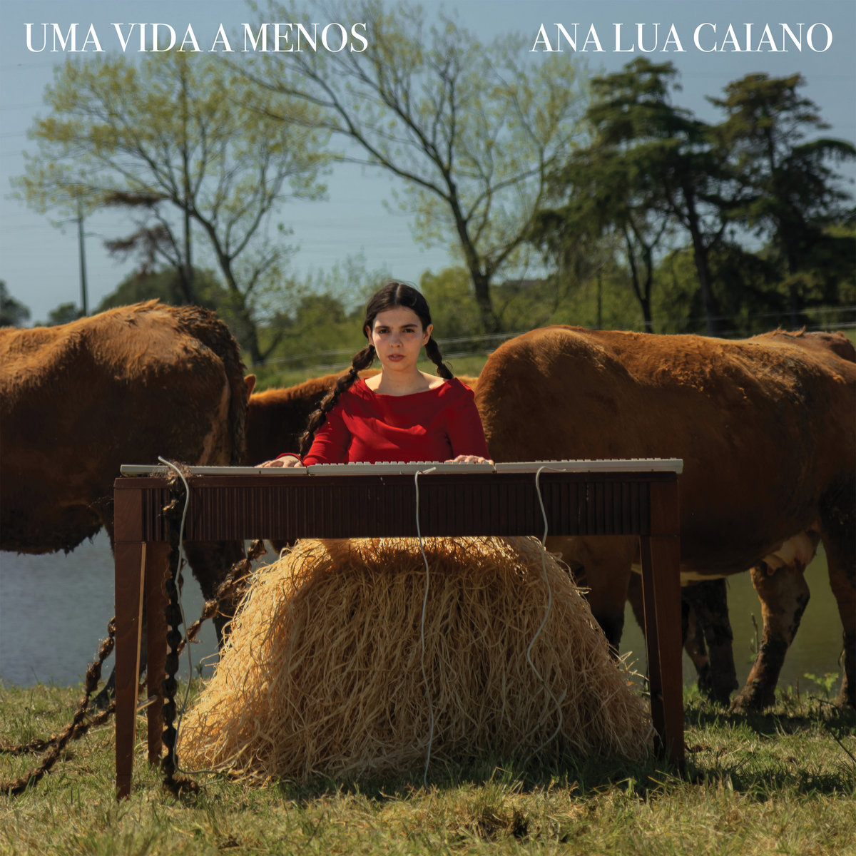 Capa do álbum 