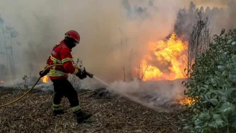 Incêndios. Cinco concelhos do distrito de Braga em perigo muito elevado