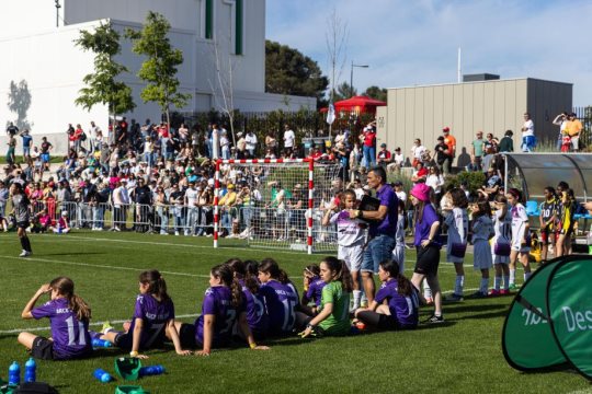 Futebol feminino em Portugal cresce cerca de 54% numa época e supera as 21 mil atletas