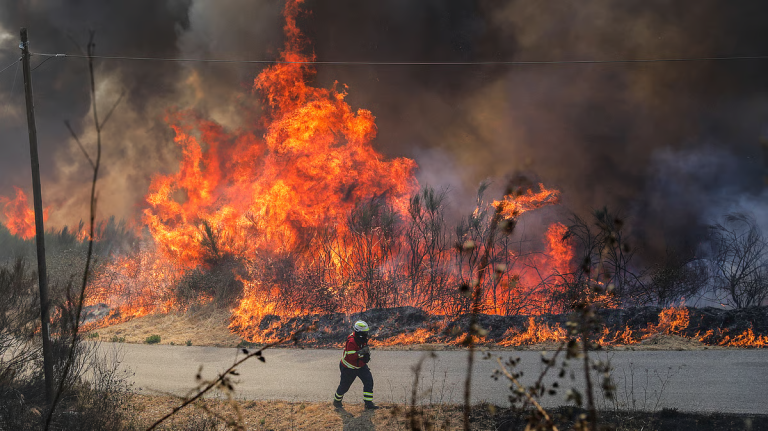 Incêndios: Portugal ativa Mecanismo Europeu de Proteção Civil