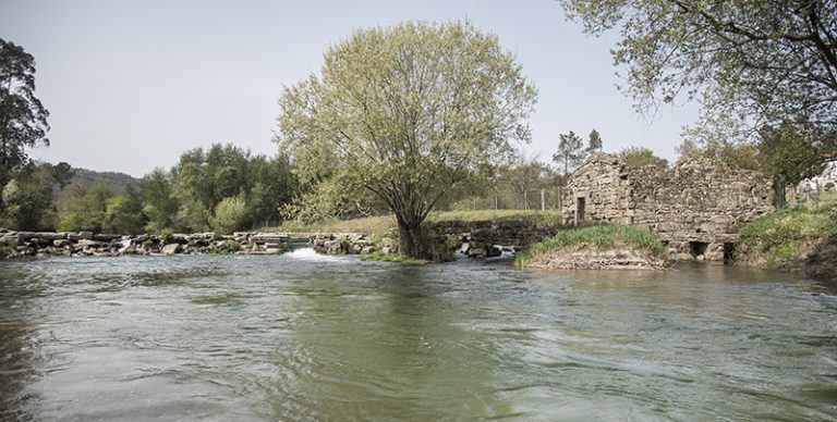 Guimarães Espera ter a primeira praia fluvial certificada até 2027 em pacote de 1,4 ME para o ambiente e mobilidade